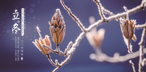 NOPAYǮ���Ƽ�