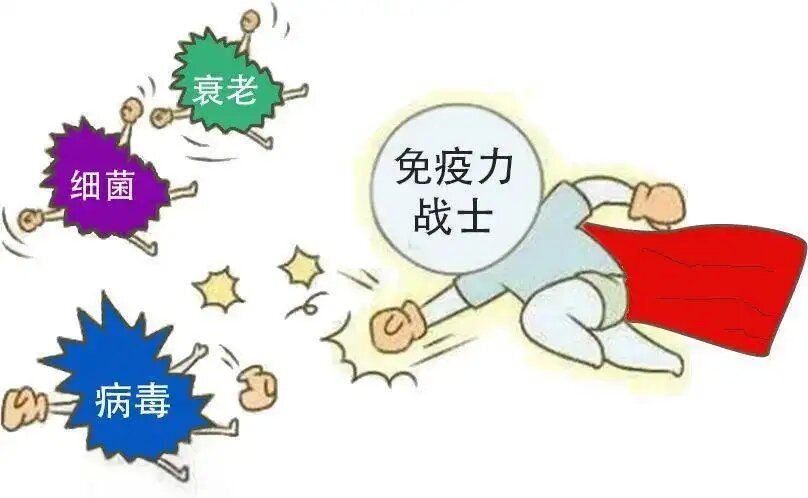 �������ֿ�����