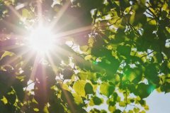 NOPAYǮ���Ƽ�