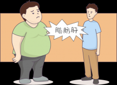 NOPAYǮ���Ƽ�