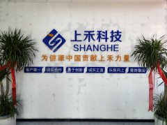 NOPAYǮ���Ƽ�