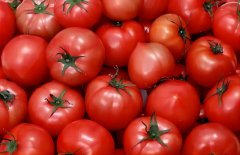 NOPAYǮ���Ƽ�