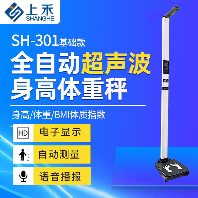 NOPAYǮ���������������SH-301