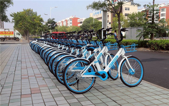 1-1Z605144G3611 NOPAYǮ - ȫݵֻ֧Ǯ