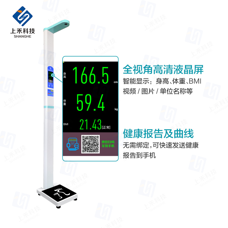 ֣��NOPAYǮ��SH-300G