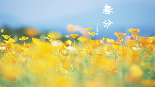 NOPAYǮ���Ƽ�