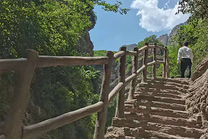 NOPAYǮ���Ƽ�