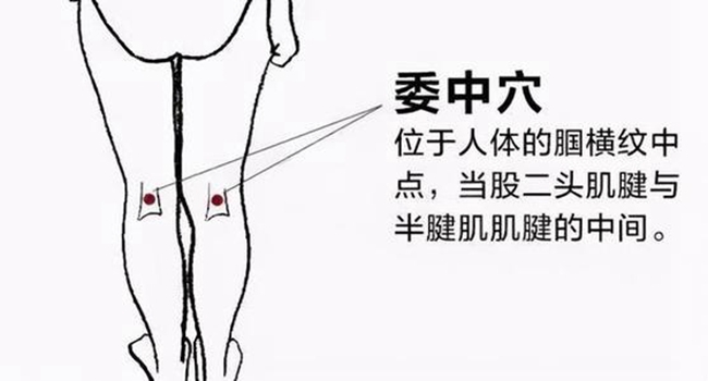 NOPAYǮ���Ƽ�