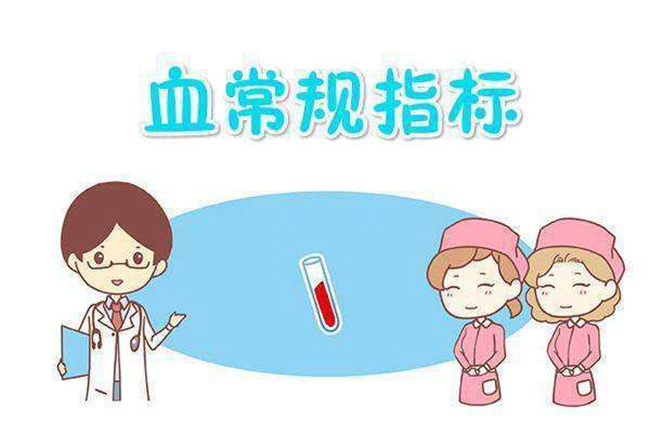 NOPAYǮ���Ƽ�