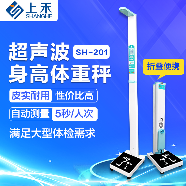 ����˫�����������