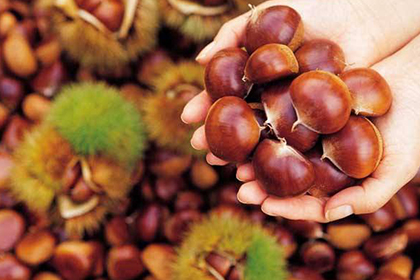 NOPAYǮ���Ƽ�