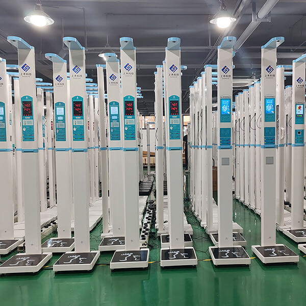 ����˫�����������